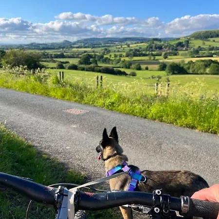 Foxhall Farm 瑟斯克