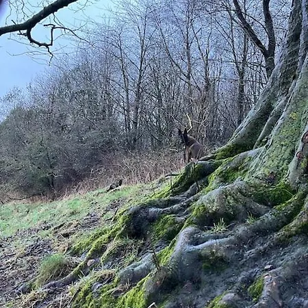 度假居 Foxhall Farm