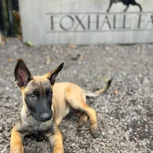 Holiday home Foxhall Farm *