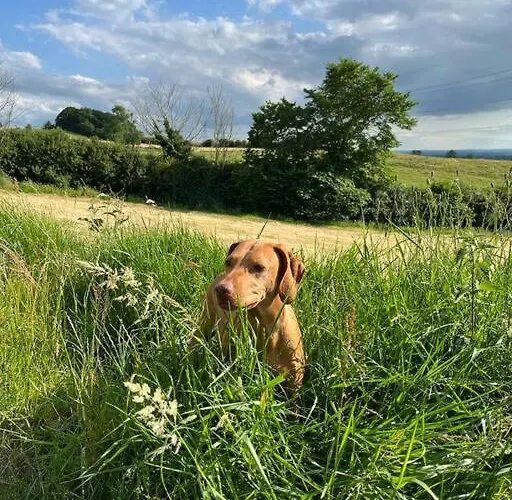 Holiday home Foxhall Farm