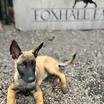بيت للعطل Foxhall Farm *