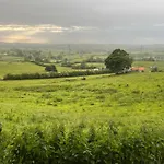 Foxhall Farm *