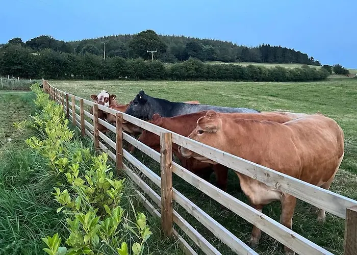 Semesterbostad Foxhall Farm *