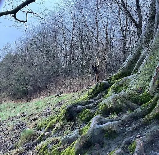 Semesterbostad Foxhall Farm